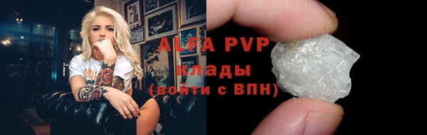 стаф Абинск