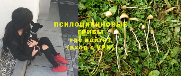 PSILOCYBIN Алексин